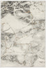 Nourison Elation ETN13 Ivory/Grey Area Rug main image