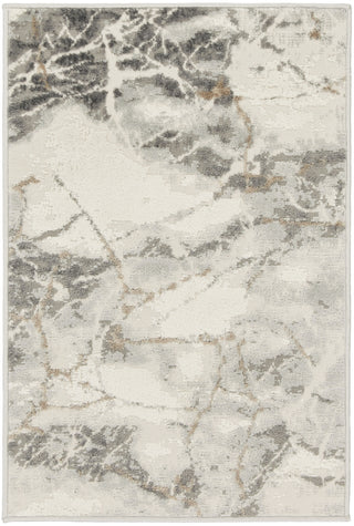 Nourison Elation ETN13 Ivory/Grey Area Rug main image