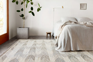 Loloi Evelina EVE-02 Pewter/Silver Area Rug Lifestyle Image Feature