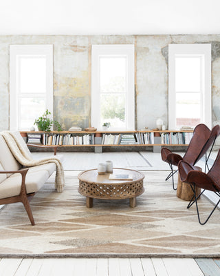Loloi Evelina EVE-04 Taupe/Bark Area Rug Lifestyle Image Feature