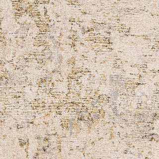 Surya Evoke EVK-2300 Area Rug Swatch