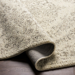 Surya Evolution EVL-2300 Area Rug Pile