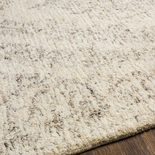 Surya Evolution EVL-2300 Area Rug Detail