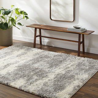 Livabliss Everton Plus EVP-2303 Area Rug