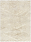 Livabliss Everton Plus EVP-2306 Area Rug