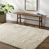 Livabliss Everton Plus EVP-2306 Area Rug