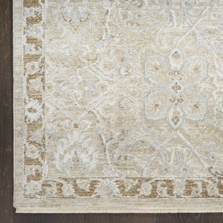 Nourison Envy EVV04 Taupe Area Rug main image