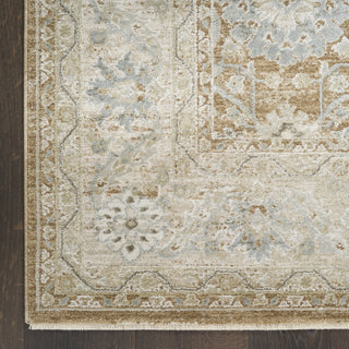 Nourison Envy EVV05 Mocha Area Rug main image