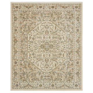 Karastan Divina Exalted Grey Area Rug main image