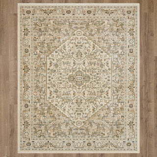 Karastan Divina Exalted Grey Area Rug Main Image