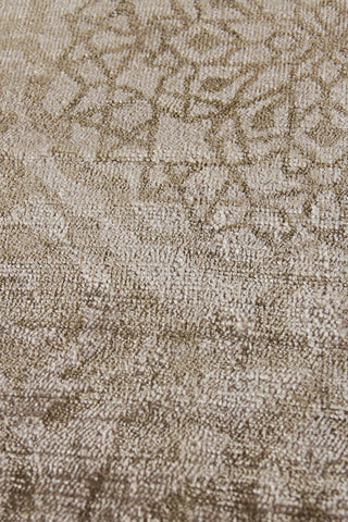 Exquisite Rugs Koda 10035 Stone Area Rug Closeup Image