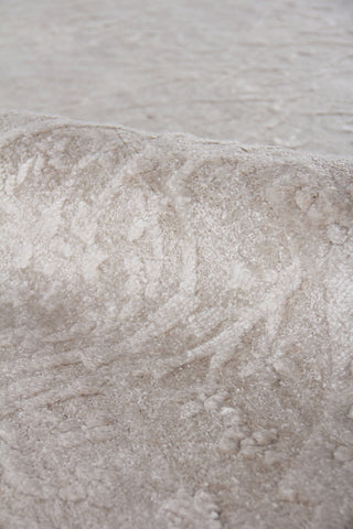 Exquisite Rugs Iris 2115 Light Gray Area Rug Pile Image