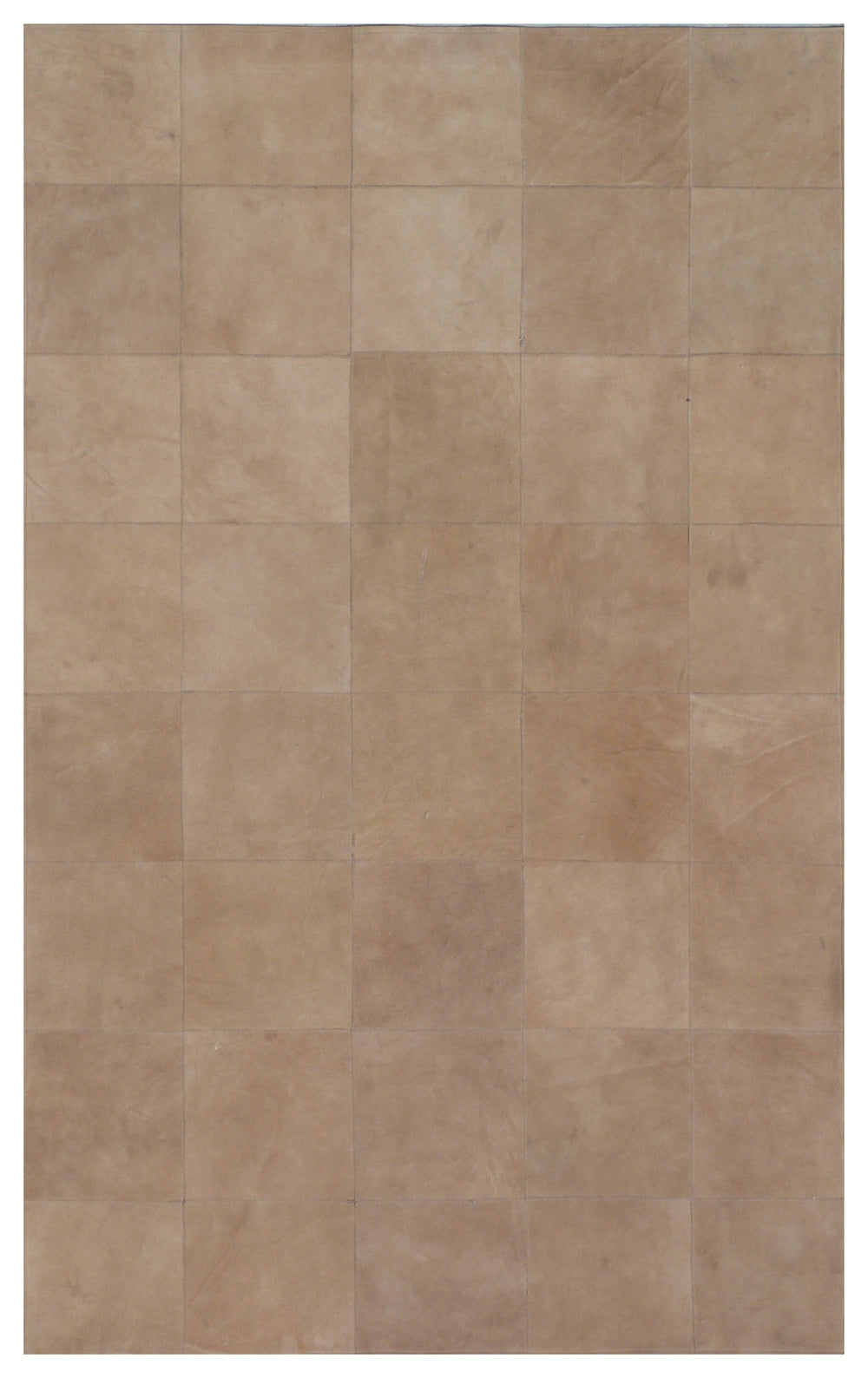 Exquisite Rugs Leather Suede 2185 Beige Area Rug