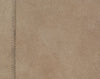 Exquisite Rugs Leather Suede 2185 Beige Area Rug Closeup Image