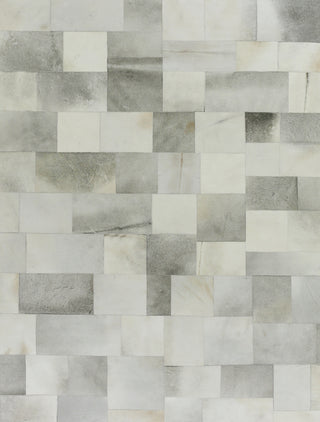 Exquisite Rugs Natural Hide 2189 Silver/Gray Area Rug main image