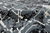 Exquisite Rugs Cecily 2201 Black/Gray Area Rug by The Met Detail Image