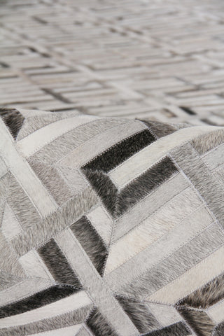 Exquisite Rugs Natural Hide 2202 Silver/Ivory Area Rug Pile Image