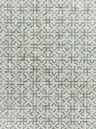 Exquisite Rugs Natural Hide 2209 Silver/Ivory Area Rug main image