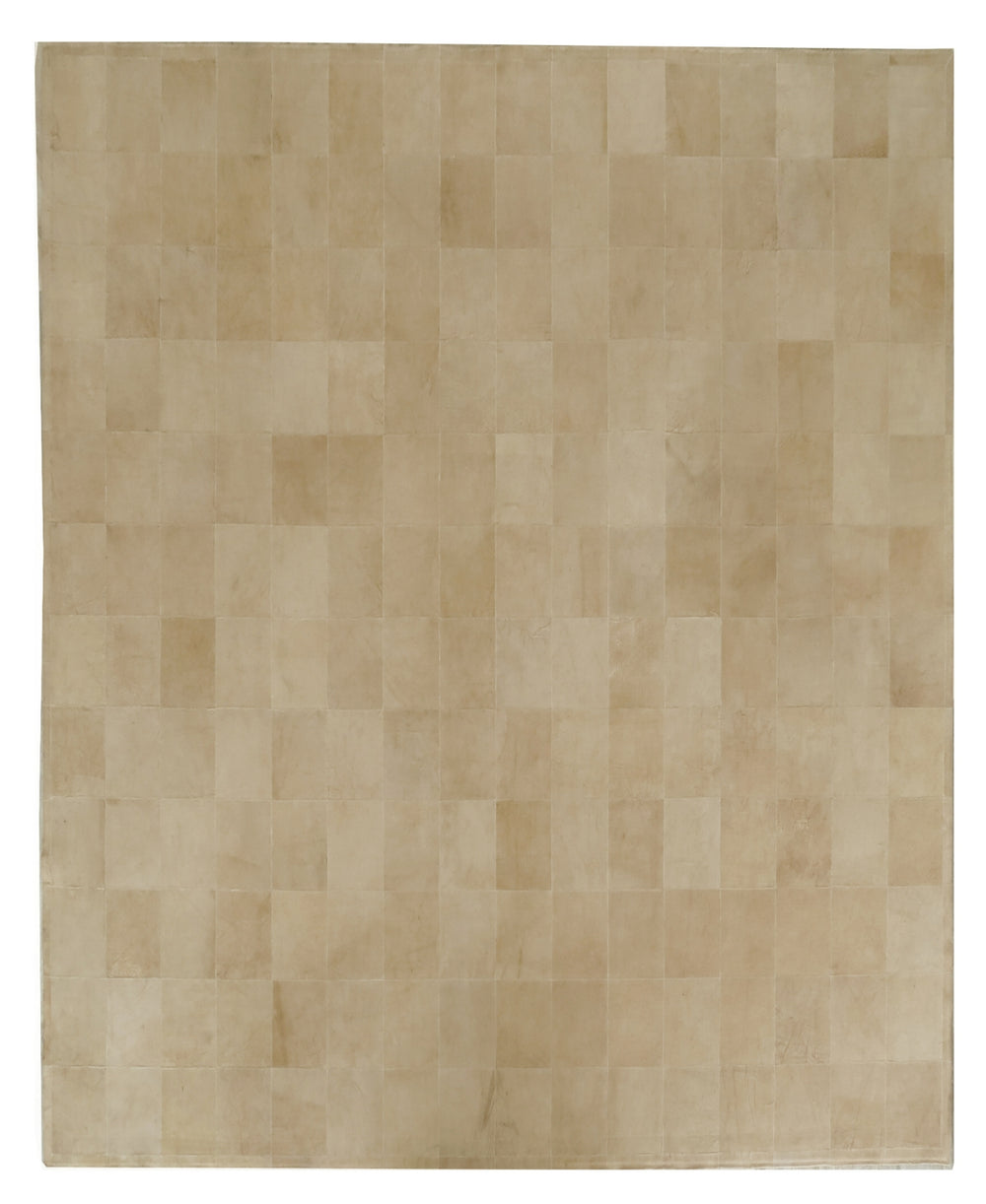 Exquisite Rugs Leather Suede 2221 Beige Area Rug