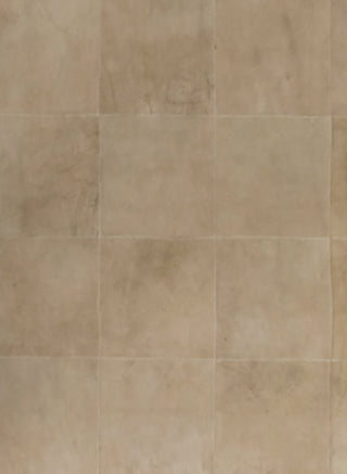 Exquisite Rugs Leather Suede 2221 Beige Area Rug Corner Image