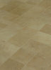 Exquisite Rugs Leather Suede 2221 Beige Area Rug Closeup Image