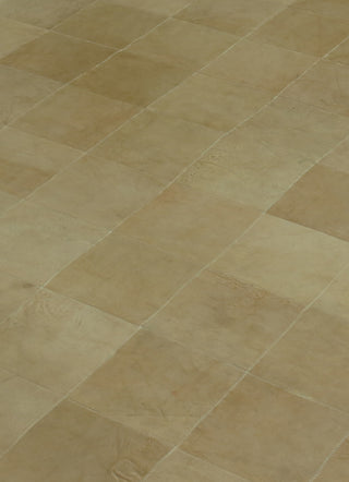 Exquisite Rugs Leather Suede 2221 Beige Area Rug Closeup Image