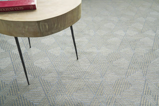 Exquisite Rugs Pavilion 2225 Ivory/Gray Area Rug by The Met Lifestyle Image Feature