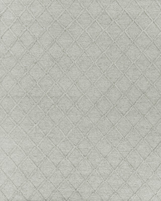 Exquisite Rugs Brentwood 2226 Gray Area Rug main image