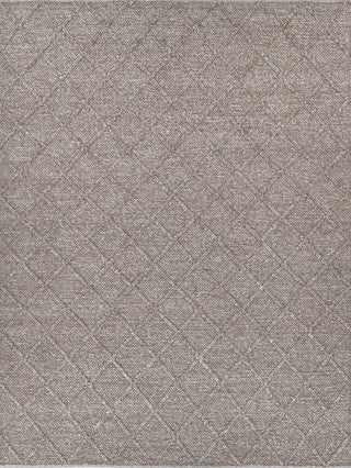 Exquisite Rugs Brentwood 2227 Light Brown Area Rug main image