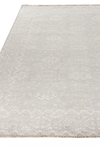 Exquisite Rugs Restoration 2253 Light Blue/Beige Area Rug Closeup Image