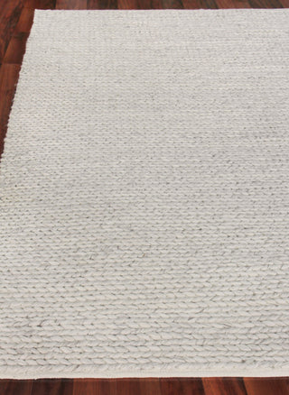Exquisite Rugs Arlow 2308 Light Gray Area Rug by The Met Closeup Image