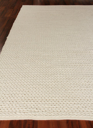 Exquisite Rugs Arlow 2313 Ivory Area Rug by The Met Closeup Image