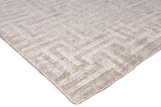 Exquisite Rugs Ventura 2416 Beige Area Rug Corner Image