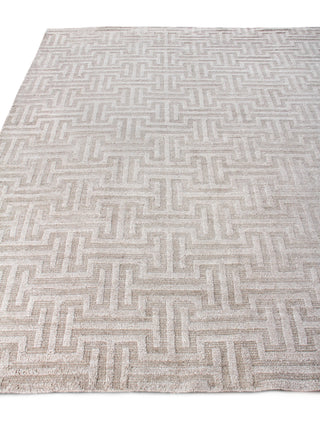 Exquisite Rugs Ventura 2416 Beige Area Rug Closeup Image