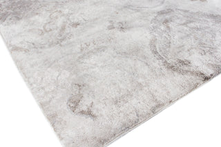 Exquisite Rugs Antique'd Silk 2431 Beige/Ivory/Gray Area Rug Corner Image