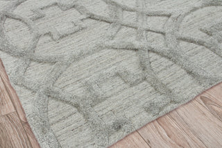 Exquisite Rugs Windsor 2448 Light Silver Area Rug Corner Image