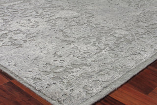 Exquisite Rugs Meena 2468 Silver/Gray Area Rug Corner Image