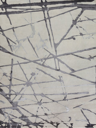 Exquisite Rugs Space Age 2502 Silver/Gray/Ivory Area Rug by The Met main image