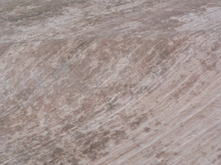 Exquisite Rugs Reflections 2512 Beige Area Rug Lifestyle Image Feature