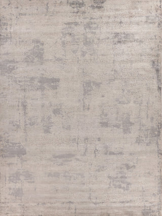 Exquisite Rugs Roset 2516 Silver/Gray Area Rug main image