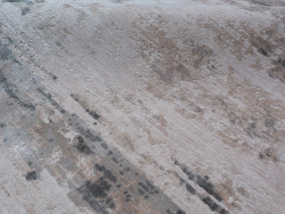 Exquisite Rugs Roset 2524 Charcoal/Multi Area Rug Lifestyle Image Feature