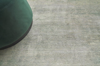 Exquisite Rugs Enzo 2525 Beige/Green Area Rug Closeup Image