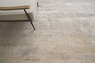 Exquisite Rugs Roset 2531 Beige/Blue Area Rug Detail Image