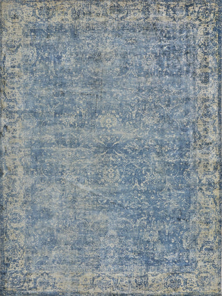 Exquisite Rugs Cassina 2545 Denim/Gold Area Rug main image
