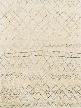 Exquisite Rugs Moroccan 2561 Ivory/Charcoal Area Rug main image