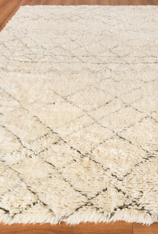 Exquisite Rugs Moroccan 2561 Ivory/Charcoal Area Rug Closeup Image