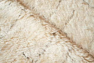 Exquisite Rugs Moroccan 2561 Ivory/Charcoal Area Rug Pile Image