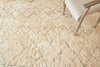 Exquisite Rugs Moroccan 2561 Ivory/Charcoal Area Rug Detail Image