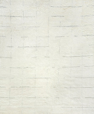 Exquisite Rugs Moroccan 2562 Ivory/Gray Area Rug main image