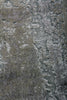 Exquisite Rugs Antolini 2634 Silver/Multi Area Rug Closeup Image